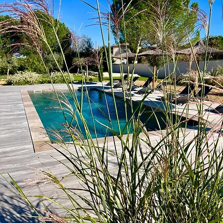 Le Clos De L'oliveraie - De Charme Avec Piscine Proche D'uzes アパート Sagriès